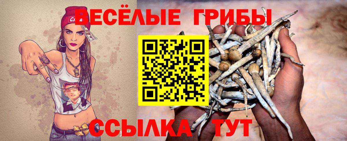 Псилоцибиновые грибы MAGIC MUSHROOMS Полевской